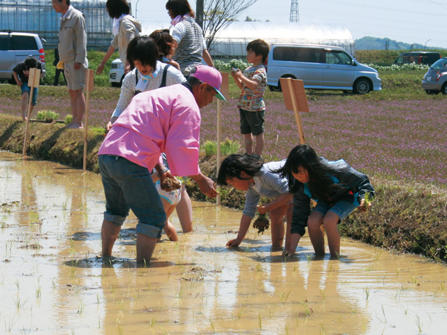 春だ!れんげだ!農業まつり