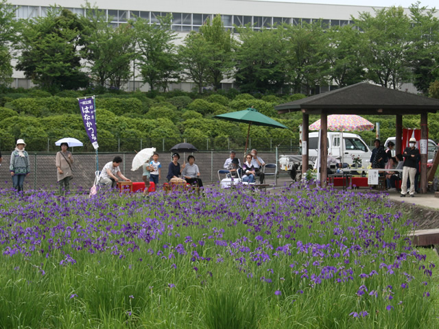 花かつみ園一般公開