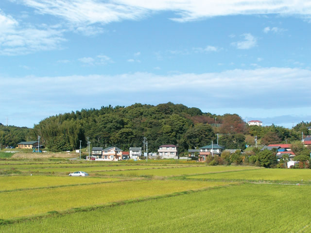 権現山