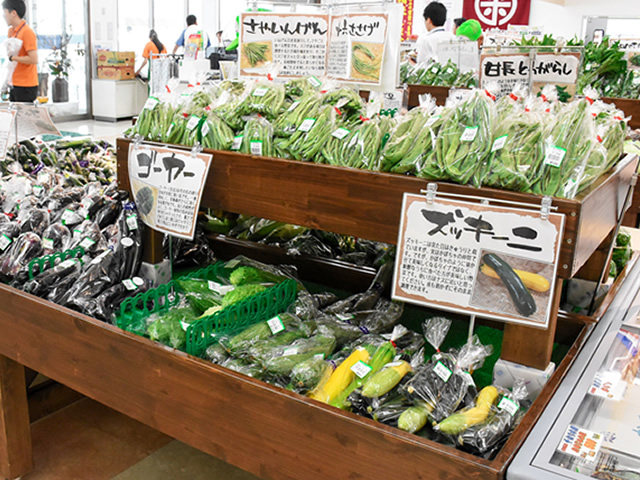 阿久比町産 野菜・花卉